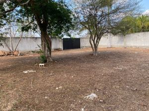 Terreno con piscina, palapa y Baños