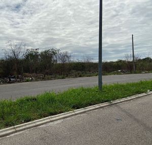 Terreno frente a Lago  en Cholul