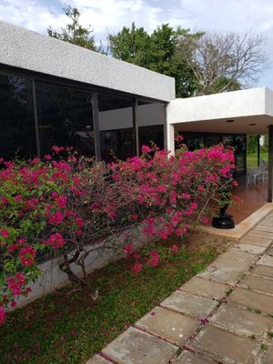 TERRENO CON CASA Y CENOTE  "ATENCION INVERSIONISTAS"