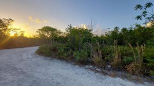 Terreno en venta en esquina 783 m2 en Tulum área Cristal