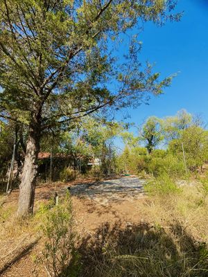 Lote en VENTA en Carretera Mazamitla