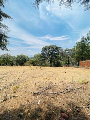 Lote en VENTA en el Pueblo Mazamitla