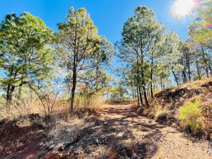 1300 mts en VENTA en La Toscana