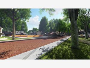 Terreno en Venta en Huasca de Ocampo Centro Huasca de Ocampo