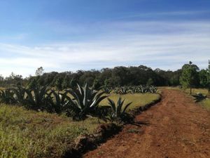 Terreno en Venta en San Pablo Ojo de Agua Huasca de Ocampo