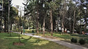 Casa amplia y luminosa en lo más seguro de Paseo de Las Lomas