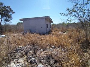 SE RENTA TERRENO  de 10,000 mts cuadrados en zona norte