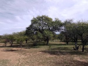 Terreno Agostadero de 6 hectáreas ubicado en Ignacio López Rayón