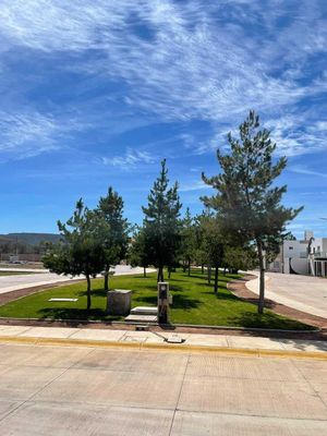 Se Vende Terreno en Fraccionamiento Real Campestre