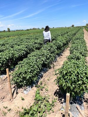 Se Vende Rancho por el Ancon