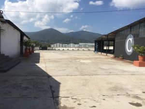 BODEGAS COMERCIALES Y OFICINAS en Renta o Venta - Jilotepec