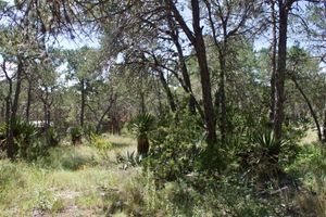 Terreno en VENTA en Fraccionamiento Campestre Pinares de Rancho Viejo