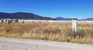 Terreno campestre en VENTA en San Antonio de las Alazanas