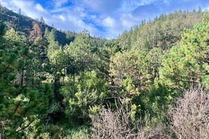 Terreno campestre en VENTA en Bosques de Monterreal