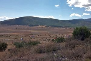 Terreno Campestre en VENTA en Los Llanos, Arteaga