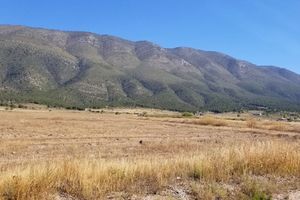 Terreno campestre en VENTA en San Antonio de las Alazanas