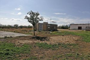 Terreno agrícola en RENTA en Derramadero