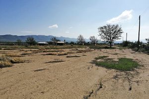 Terreno agrícola en RENTA en Derramadero