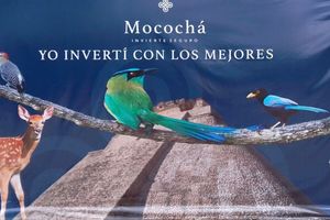 Terrenos de inversión campestre en VENTA en Mérida Yucatán.