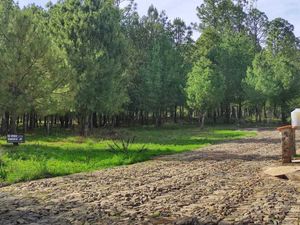 Terrenos en venta en Boskania Tapalpa