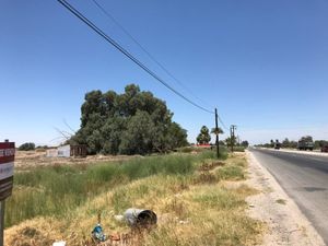 Terreno rústico sobre Carretera a Tijuana, El Progreso