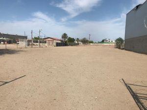 Terreno en renta sobre calle Novena - Mexicali