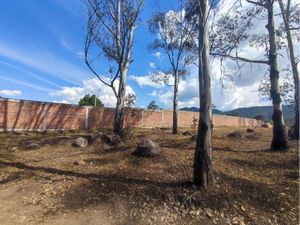 Terreno en Venta en Bosques de la Presa Morelia