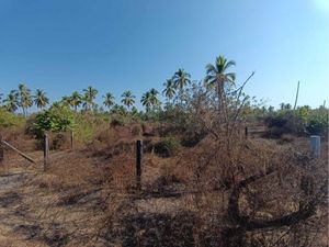 Terreno en Venta en Barra de Potosí Petatlán