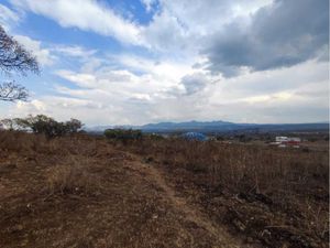 Terreno en Venta en Lomas del Pedregal Morelia