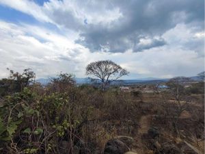 Terreno en Venta en Lomas del Pedregal Morelia