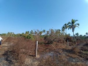 Terreno en Venta en Barra de Potosí Petatlán