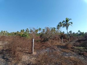 Terreno en Venta en Barra de Potosí Petatlán