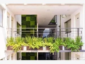 Departamento en Venta en Narvarte Oriente Benito Juárez