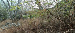 Terreno Residencial en Xochitepec, Mor, para construir la casa de tus sueños