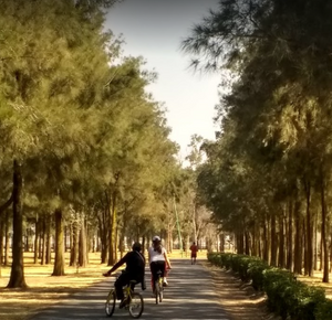 CASA, EN VENUSTIANO CARRANZA, EXCELENTE OPORTUNIDAD