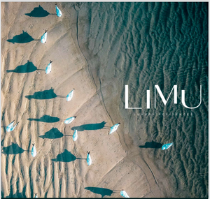 Limu  2R Peninsula, Puerto Vallarta Jalisco