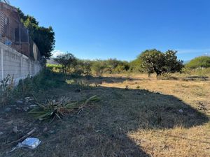 Terreno en Venta en Tepeojuma Tepeojuma