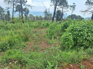 Venta de terrenos en Mazamitla, Jalisco