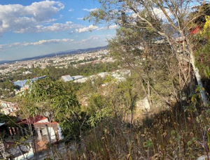 TERRENO EN RESIDENCIAL BOSQUES, ALTOZANO