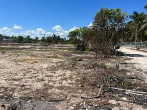 Terreno en 3era fila Chuburna Puerto