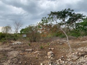 Terreno en Comisaría Dzitya