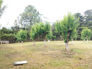 TERRENO EN VENTA, EN SAN CRISTÓBAL DE LAS CASAS