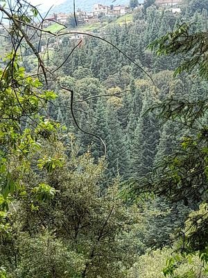 TERRENO EN VENTA SANTA ANA JILOTZINGO, LAS HUERTAS