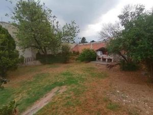 Terreno en Venta en Ampliación Santa María Tulpetlac Ecatepec de Morelos