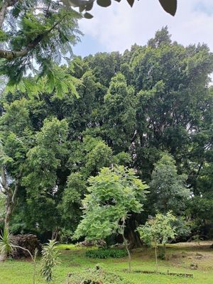 Terreno Único en Santa María Ahuacatitlán