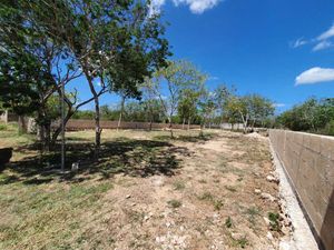 |Terreno en venta en cholul|