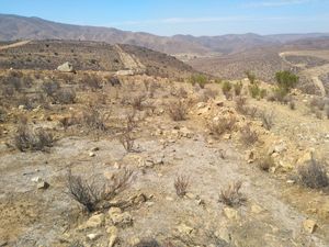 VENTA DE TERRENO CAMPESTRE. VALLE DE LAS PALMAS