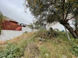 RENTA TERRENO EN LA COLONIA GUAYCURA.