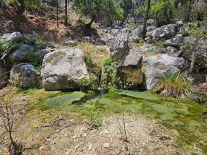 Venta de Rancho UNICO en Santa Catarina