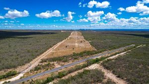 Venta de Rancho Ganadero y Agrícola en Linares